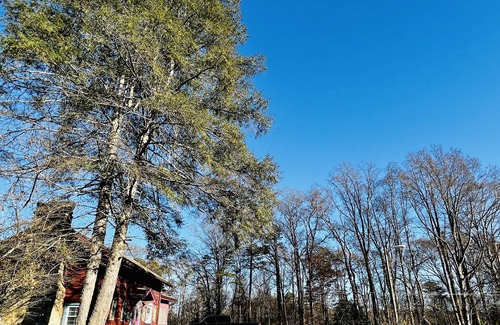 Wilkesboro Cabin | Wilkes Forest Retreat, Family Cabin