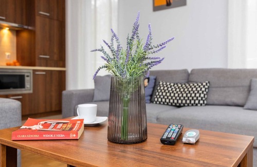 Jastrzebia Gora Apartment | Willa 4 Pory Roku | 1 Bedroom | Parking | Balcony