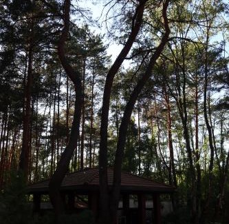 Konstancin-Jeziorna Villa | Willa Las&Luksus Jacuzzi, Sauna i Relaks pod Warszawą