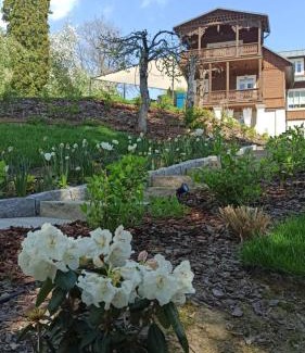 Naleczow House | Willa Lucyna