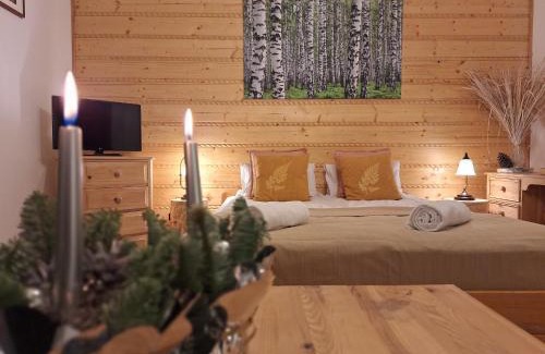 Krzyzowka Bed & Breakfast | WILLA MAŁE ALPY & SPA z Basenem Otwarcie w Grudniu 2025 rok