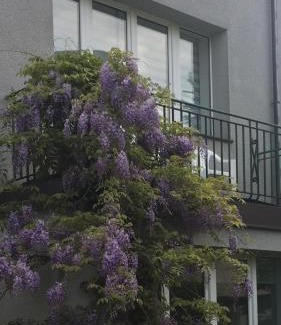 Kamienna Gora Villa | Willa Przy Plaży Gdynia Kamienna Góra