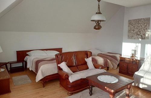 Walendow Ski Chalet | Willa Rosa