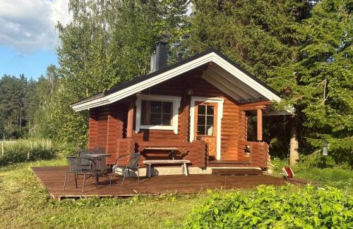 Iisalmi House | Willa Stonehill