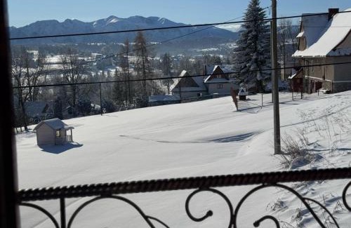 Czerwienne Apartment | Willa u Skrajnioka Domek