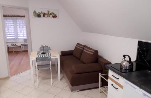 Darlowko Apartment | Willa Złota Rybka