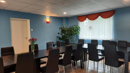 Pusi House | Willipu Guesthouse