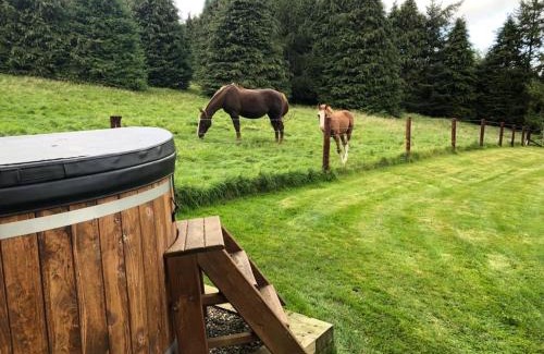 Dublin Cabin | Willow Lodge