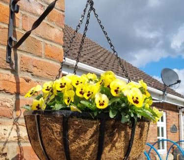 Alkborough House | Willowcroft