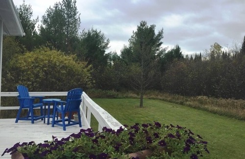 La Pointe Cabin | Willows - 2 Bed/1 Bath Cabin minutes from Downtown La Pointe!