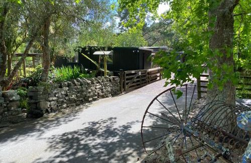 Kumeu Cabin | Willows Reach Lodge