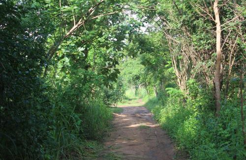 Pahala Maragahawewa Resort | Wilpattu Holiday Home
