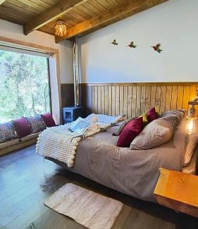 Panguipulli Ski Chalet | Wincarayen Lodge & Cabañas