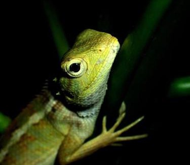 Bintan Apartment | Wind in your hair is a real luxury