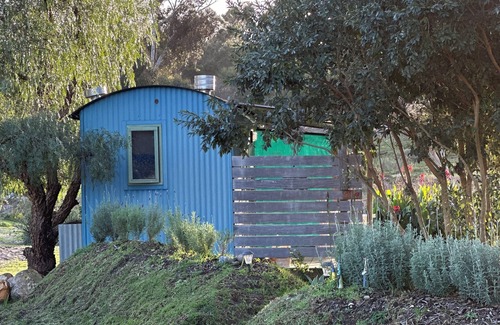 Napier Cabin | WindHorse Shepherds Hut situated on our rustic eco equestrian small holding.