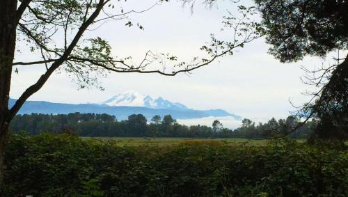 Lynden Hotel | Windmill Inn Lynden