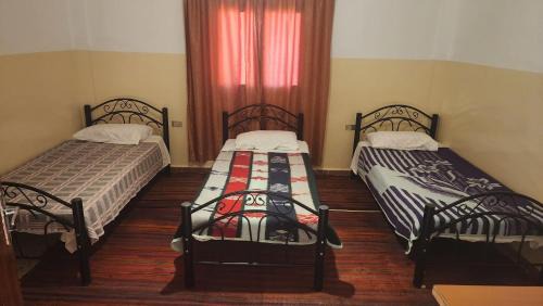 Wadi Musa Bed & Breakfast | Window on petra
