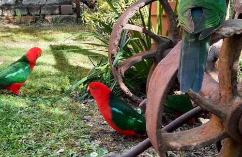 Walhalla Bed & Breakfast | Windsor House B&B