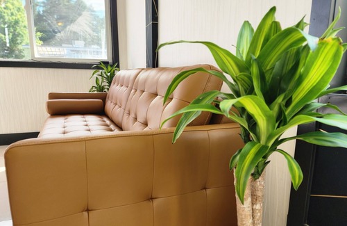 Hope Hotel | Windsor Motel