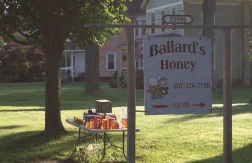 Roxbury House | Windswept Cottage - Close to skiing, wedding venues, & hiking!