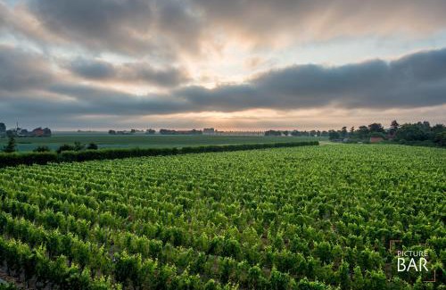 Dreischor House | Wine-barrel Pinot-Gris