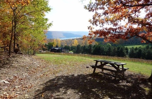 Naples Cabin | Wine Country Getaway-Jim's South Bristol Guest House