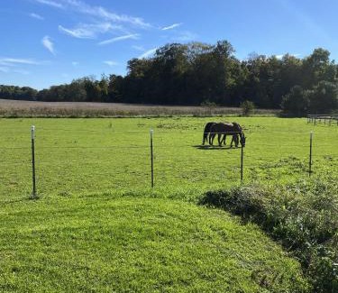 Benton Harbor House | Wine Country Oasis Charming Farmhouse 10 Acres