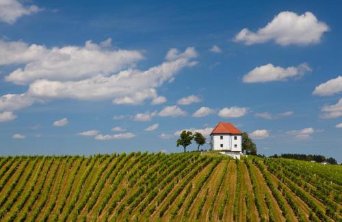 Slovenske Konjice Apartment | Wine Grower's Mansion Zlati Gric