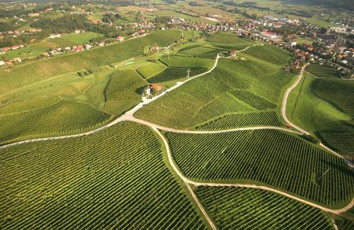 Slovenske Konjice Apartment | Wine Grower's Mansion Zlati Gric