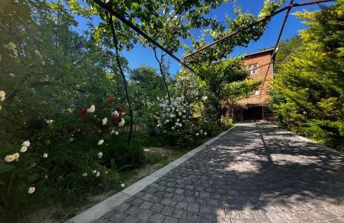 Vedzebi Bed & Breakfast | Wine House KNIAZ