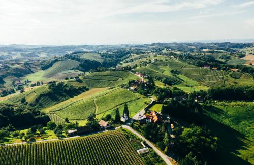 Pesnica Bed & Breakfast | Wine & Tourism Bračko