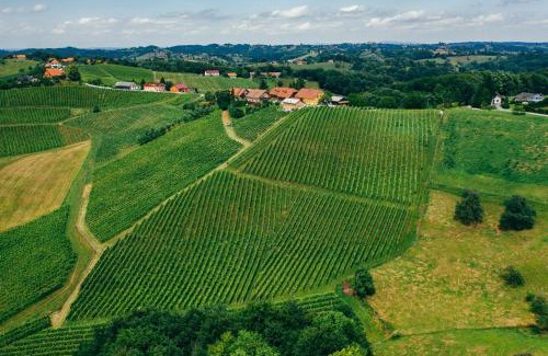 Pesnica Bed & Breakfast | Wine & Tourism Bračko