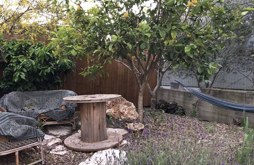 Givat Nili House | Winemaker's Villa in Nature