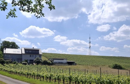 Riol Apartment | Winery "Auf Plandert" - 2-Bettwohnung *