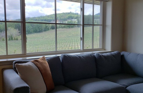Kelseyville Apartment | Winery Stay in the Vineyard Loft tucked amongst the vines at Boatique Winery