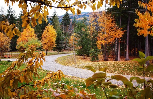 Kaslo Cottage | WING CREEK RESORT