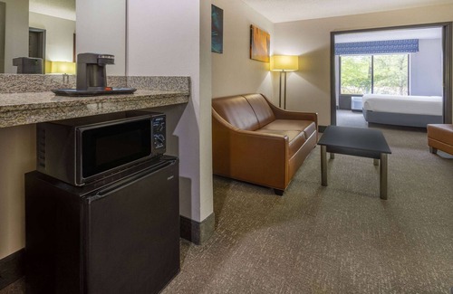 Atlanta Hotel | Wingate by Wyndham Atlanta Galleria/Ballpark