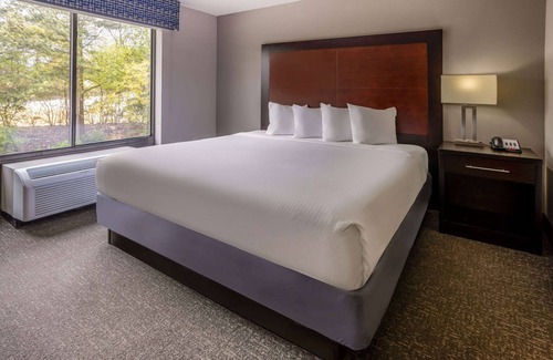 Atlanta Hotel | Wingate by Wyndham Atlanta Galleria/Ballpark