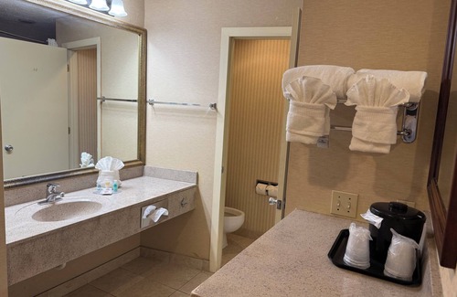 Livonia Hotel | Wingate by Wyndham Livonia