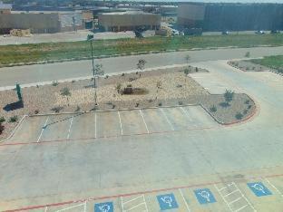 North by Northwest Hotel | Wingate by Wyndham Lubbock