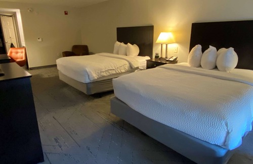 Southwest Raleigh Hotel | Wingate by Wyndham State Arena Raleigh/Cary