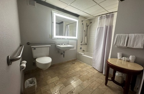 South Main Hotel | Wingate Houston near NRG Park/Medical Center