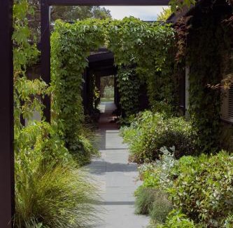 Red Hill South House | Winifred