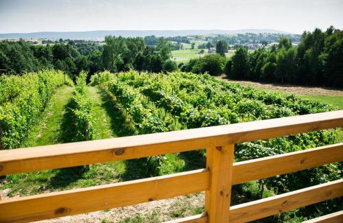 Tarczek House | Winnica Nad Źródłem - Domki w winnicy z kominkami i tężniami