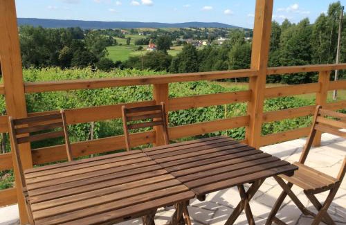 Tarczek House | Winnica Nad Źródłem - Domki w winnicy z kominkami i tężniami