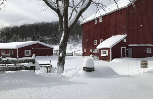 Bovina Center House | Winniebrook Farm - A beautiful 16 acre countryside farmstead