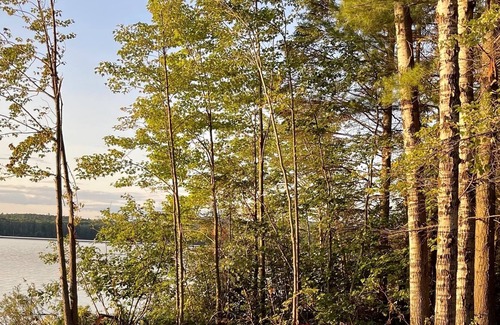 Madawaska Valley Cottage | Winter Lake House on Bark Lake-Direct Access to RAP Trail! A Blast in Summer!
