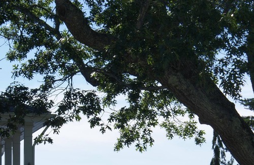 Wareham Center Cottage | Winter Rental All Utilities Included, Fenced in Yard