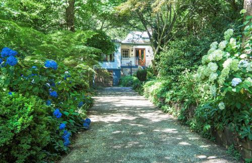 Olinda Villa | Winter Rose - gorgeous gardens sleeps 5