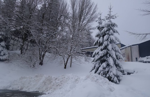 Neuastenberg House | Winterberg, quiet, comfortable 4-person vacation home in the Neuastenberg ski village
